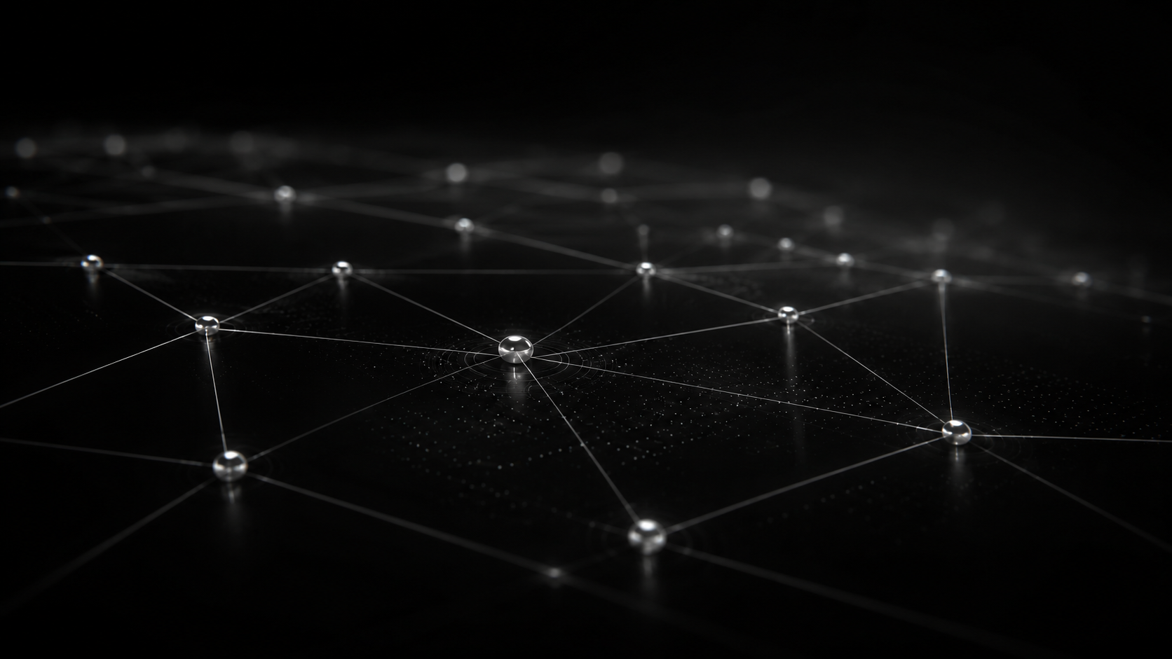 Network of signed connections
