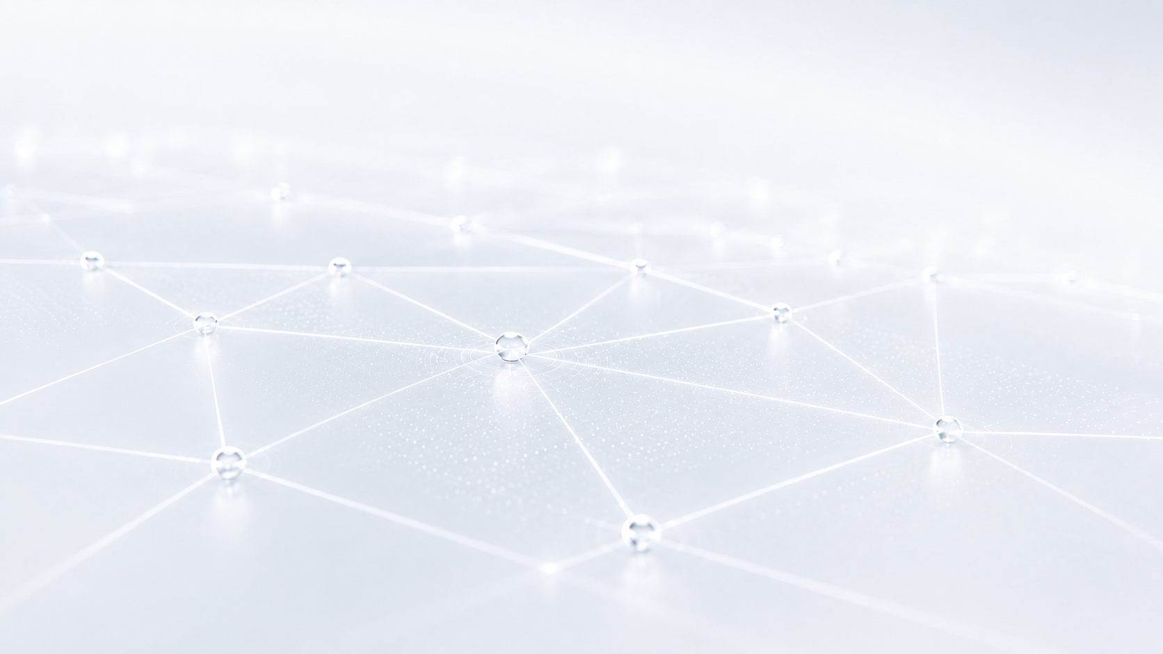 Network of signed connections